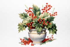 Winter Christmas Greenery Clipart PNG Product Image 3