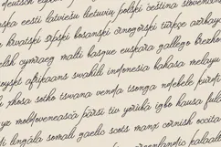 Doven Romantic Signature Script Font Product Image 3