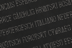 Arowen Organic Serif Font Product Image 3