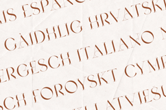 Mickle Elegant Serif Font Product Image 3