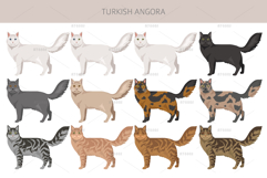 Turkish Angora cat Product Image 2