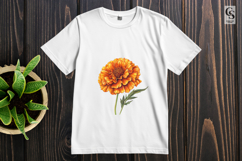 Orange Marigold Flower Botanical Clipart Sublimation PNG Product Image 2