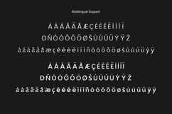 Vexane Editoral Logo fonts Product Image 3