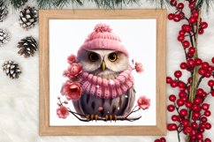 Christmas Owl Clipart, Christmas Owl Clipart, Christmas Owl Product Image 3
