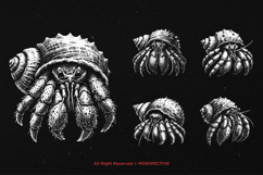 10 Bundle Dark Art Hermit Crab Animal Shell Sea Beach Hand Product Image 5