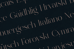 Rowan Elegant Modern Serif Font Product Image 3