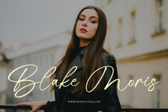 Mastine Elegant Handwritten Font Product Image 3