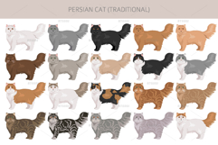 Persian cat. Traditional type Product Image 2
