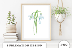 Watercolor Snowdrop Flowers Bouquet png Product Image 3