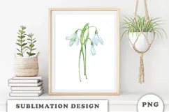 Watercolor Snowdrop Flowers Bouquet png Product Image 3