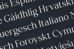 Creators Type Modern Slab Serif Display Font Product Image 3