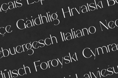 Stefania Elegant Modern Serif Font Product Image 3