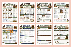 Quail Raising for Beginners Kdp interiors Product Image 3