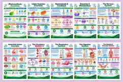 Biology Study Essentials Product Image 3