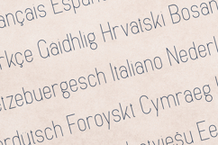 Eunoia Minimal Elegant Sans Serif Font Product Image 3