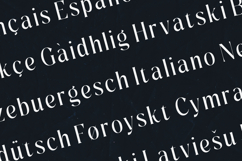 Pure Motif Elegant Serif Text Font Product Image 3