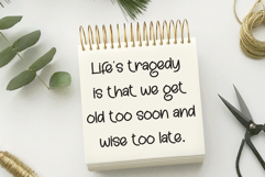 Handsome Product Image 3