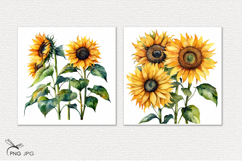 Sunflowers digital paper Product Image 3