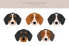 Rastreador Brasileiro clipart Product Image 5
