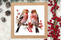Christmas Birds Clipart , Christmas Birds Clipart Product Image 4