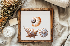 Shell clipart Product Image 3
