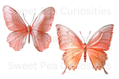 Butterfly, Ephemera, PNG, Junk Journal, clipart Product Image 3