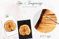 Wood Slices Clipart, Woodland Clipart Product Image 3