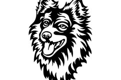 Pomeranian spitz/Dog Svg/Png/Jpg/Ai/Vector purebred breed Product Image 4