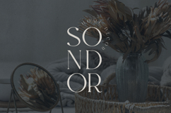 Evalinor A Modern Serif Font Product Image 3