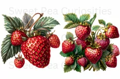 Strawberry, Strawberries, Ephemera, PNG, Clipart Product Image 3