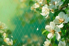 Pink Flowers Background PNG, Sakura Background Designs Product Image 3