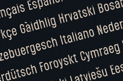 Ecliso Rough Edition Vintage Distressed Sans Serif Font Product Image 3