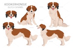 Kooikerhondje clipart Product Image 3