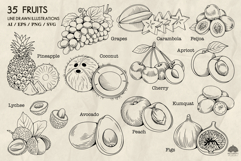 Fruits Line Art Illustrations SVG PNG EPS Ai Product Image 3