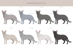 Russian Blue Cat Product Image 2