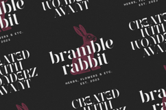 Wonderz Typeface A Modern Serif Product Image 3