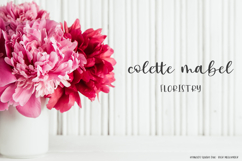 Reynolds Square Duo - Script Font &amp; Sans Font Product Image 3