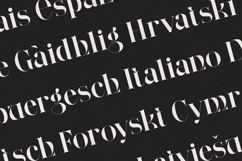 Wonderz Echo Luxury High-Contrast Serif Display Font Product Image 3