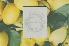 Lemon wreath Svg Png Eps Product Image 3