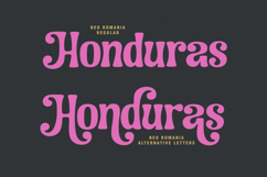 Neo Romania - Modern Serif Font Product Image 5
