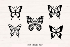 Butterfly SVG Bundle | Hand Drawn PNG DXF Cut Files Set Product Image 3