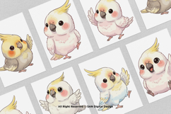 15 Bundle Watercolor Cute Baby Parrot Bird Macaw Parakeet Product Image 3