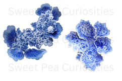 Blue Toile, Ephemera, PNG, Clipart, Junk Journal, flowers Product Image 3