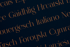 Rowan Elegant Modern Serif Display Font Product Image 3