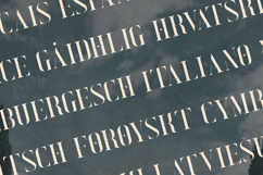 Exquisite Elegant Stencil Serif Font Product Image 3