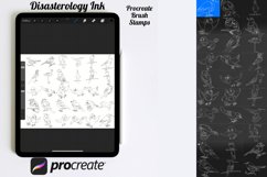 Birds Outlines Set 1 Procreate Brush Stamps, 30 Bird Product Image 3