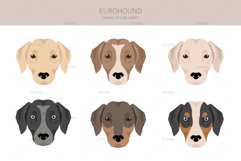 Eurohound clipart Product Image 5