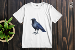 Black Crow Bird Illustration Clipart Sublimation PNG Product Image 3