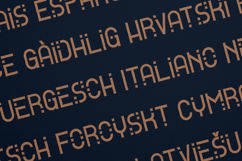 Alpha Organic Distressed Display Font Product Image 3