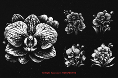 10 Bundle Dark Art Orchid Flower Tropical Floral Botanical Product Image 5